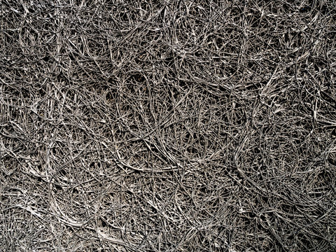 Background texture of rotten