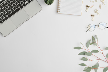 Notebook, clips, plant in flowerpot, branch with green leaves and laptop keypad