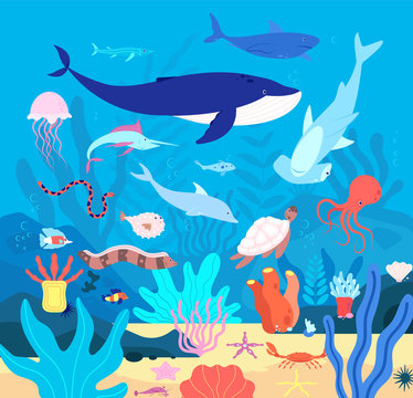 Underwater. Cute Undersea Animals, Cartoon Sea Wildlife. Happy Aquarium Habitat, Oceanic Fishes And Mammals. Marine Life Vector Background. Sea And Coral Exotic, Wildlife Natural Ocean Illustration
