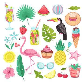Summer elements. Tropical vacation stickers. Flamingo, ice cream and pineapple, leaf and cocktail, parrot and beach hat, starfish vector set. Illustration flamingo and watermelon, palm and fruit