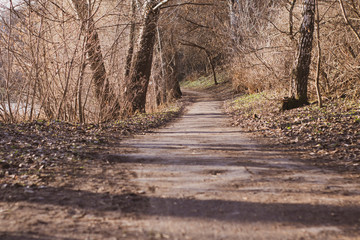 Path in a city park in snowless winter