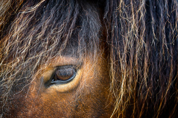 Eye of Contemplation © Malcolm Thornton