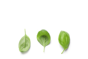 Fresh green basil leaves on white background, top view