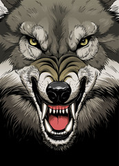 Wolf face on the dark background