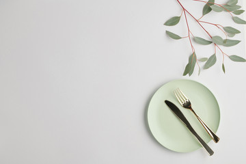 Flatlay of white porcelain plate with steel knife and fork and branch of plant