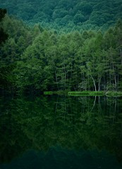 lake in the forest, perfect reflection 