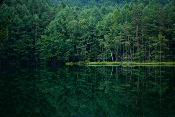 Mirror reflection in a lake