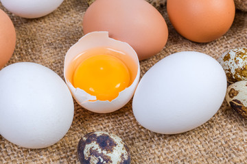 Broken chicken egg in eggshell among the whole eggs close-up