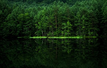 Reflection in calm lake 
