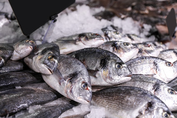 Fresh raw fish with ice in supermarket, closeup