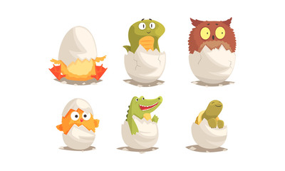 Cute Birds and Reptiles Hatching Vector Set. Cartoon New Born Creatures Collection