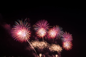 Many fireworks are shot in the dark sky.