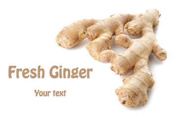 Fresh ginger on white background with space for text
