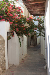 In the old city of Naxos in Greece