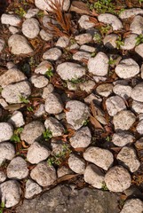 ゴツゴツした石の多い道