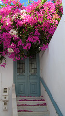 In the old Naxos city beethwen the white houses and purple flowers