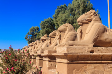 Alley of sphinxes at Karnak Temple Complex in Luxor, Egypt