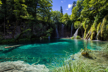 Beautiful lake landscape in the Croatian Plitvice National Park: Turquoise lake with waterfall in the background, surrounded by a dense forest and lush green vegetation