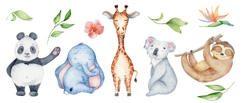 Watercolor animals character collection. Panda, sloth, giraffe, koala, elephant