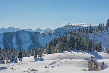 Fototapeta na wymiar Berge und Bäume im Schnee mit Fußspuren