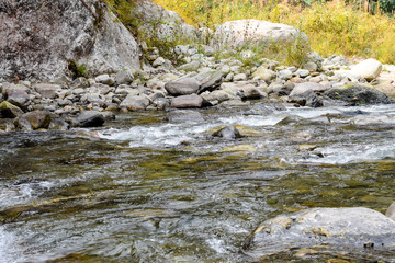 Fototapeta na wymiar rishi river stream in forest