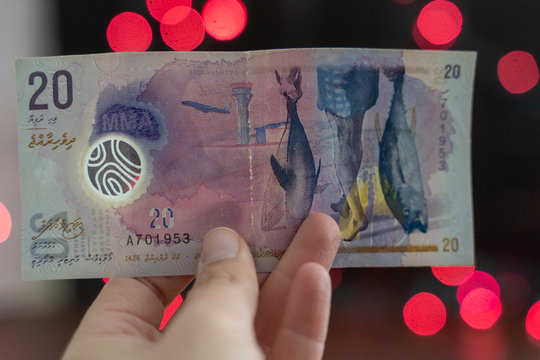 Hand holds a Maldivian rufiyaa bank note currency money (20), pink and red bokeh background with copyspace