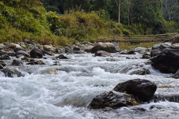 river in the forest