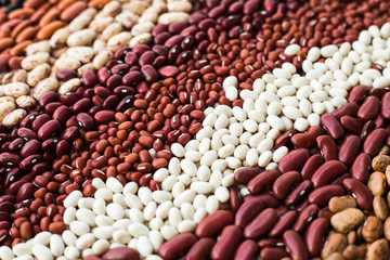 Different varieties of bean seeds. Beans background.