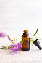 Essential lavender oil in glass bottle on light concrete background with copy space. Aromatherapy and Ayurveda concept.