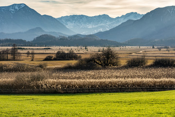 Wanderung im herbstlichen Murnauer Moos