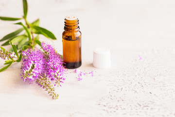 Essential lavender oil in glass bottle on light concrete background with copy space. Aromatherapy and Ayurveda concept.