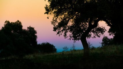 Fototapeta na wymiar Sunset over the Mountain Range, Andalucia