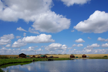 Fototapeta na wymiar Country houses on the green shore of the lake against the blue sky with white fluffy clouds. Reflection of beautiful landscape in clear water.