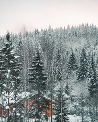 House in the forest in winter