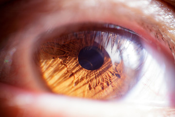 Macro shot of the human eye. Brown eyes near. Soft focus. The reflection of the window in the human...