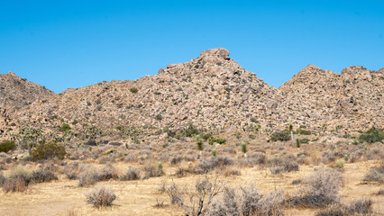 Fototapeta na wymiar View in the desert of Joshua tree, california