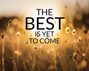 Inspirational and motivation quote on meadow in field of nature background with vintage filter.
