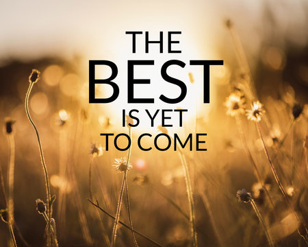 Inspirational and motivation quote on meadow in field of nature background with vintage filter.