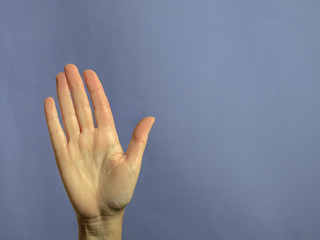 Hand with open palm in sign of stop with copy space