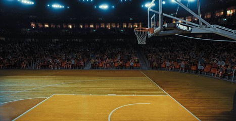 An empty professional basketball stadium with a crowd made in 3D.