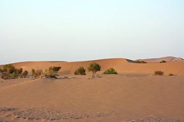 Wüste Sanddünen Iran