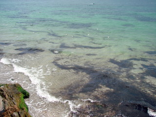 Natural picture of various colors and shades of the sea surface barely strewn with white drops of seabirds.