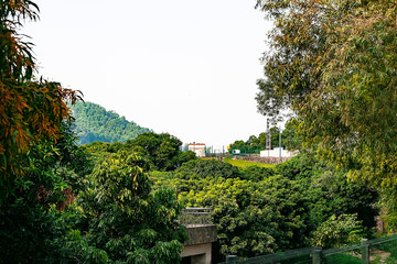   The mountains are beautiful 山色诱人