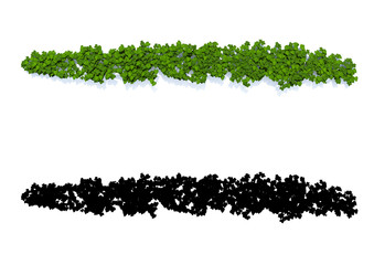 Green ivy plant isolated.3D illustration.