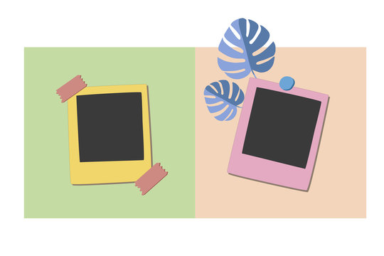 Instant photos with tropical leaves on a blackboard. A mudboard with photos.