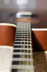 Brown Acoustic Guitar with Black Vulture and Bronze Strings