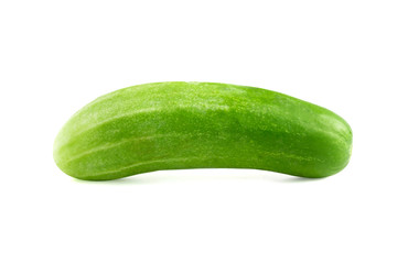 fresh cucumber One piece  whole cucumber on  white background  isolated