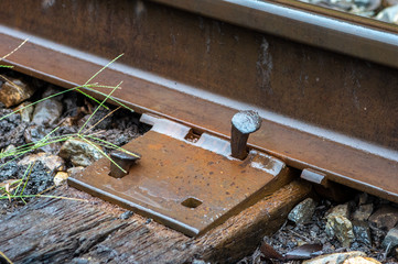 Railroad Tie and Spike