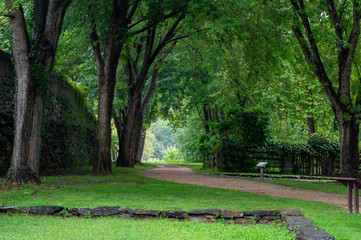 Pathway in the Tree Covered Park
