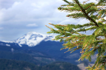 Beautiful snow-capped mountains against the blue sky